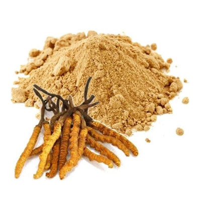 Exploring The Benefits And Health Effects of Cordyceps Extract