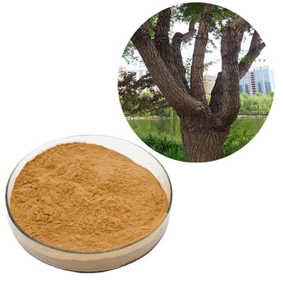 Comprehensive Review of White Willow Bark Extract: Natural Remedy For Pain Relief