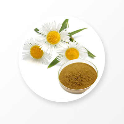 Chamomile Extract For Skin Care: Natural And Nourishing