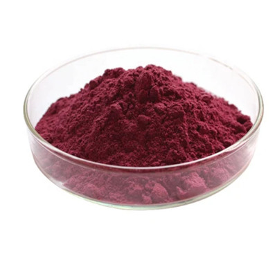 Black Chokeberry Extract