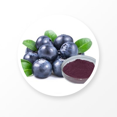 Blueberry extract 