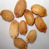Bitter Gourd Seed 