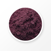 Black Currant Extract Powder 