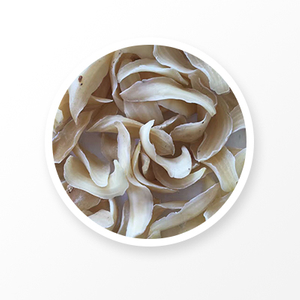 Lily Root