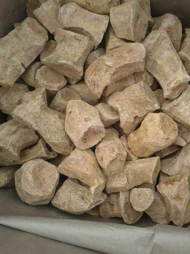 Rhubarb Root Powder