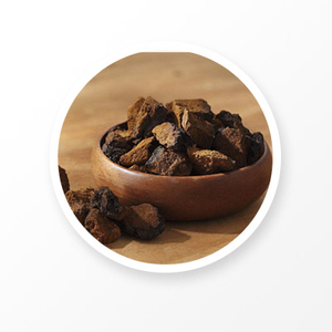 Chaga Extract