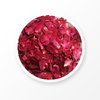 Rose Flower 