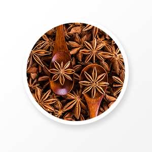Star Anise China Spices