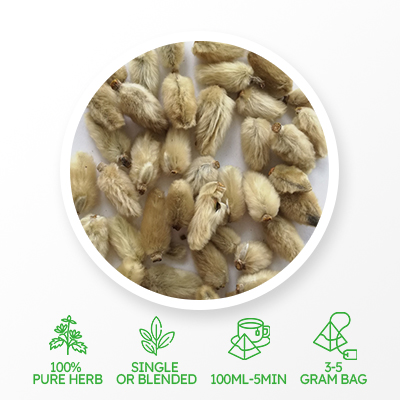 Flos Magnoliae Tea