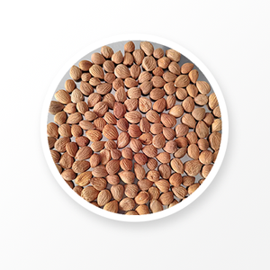 Organic Apricot Kernel