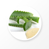 Aloe Barbadensis Leaf Extract