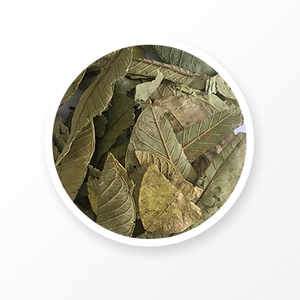 Guava leaf 