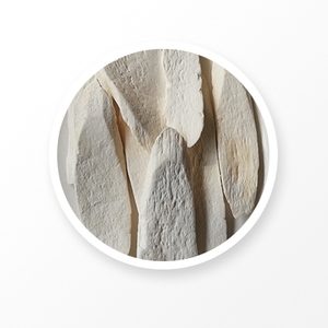 Yam Root 