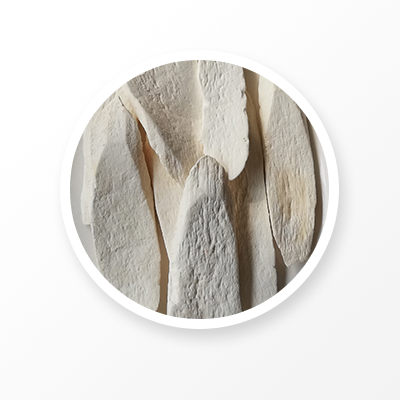 Yam Root 