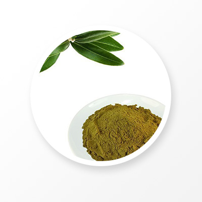 Olive Extract