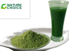 Organic Alfalfa Juice Powder 