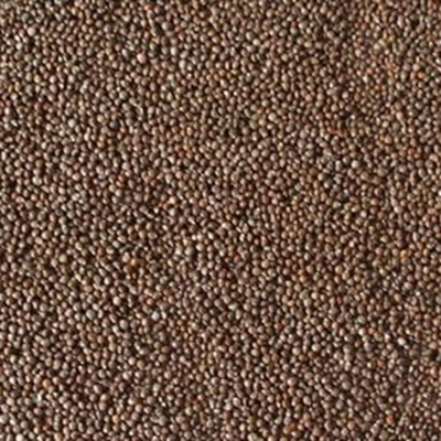 Perilla Seed