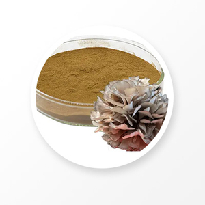 Glucan Grifola Frondosa Mushroom Extract