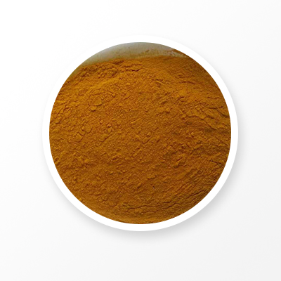 Turmeric Root Powder